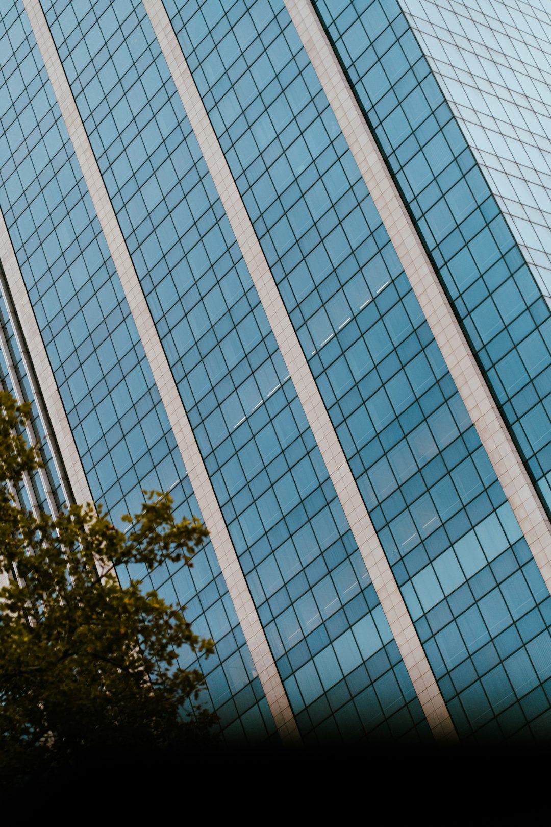 modern-glass-skyscraper-with-tree-in-foreground-717nkpxepy